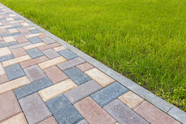 Professional Driveway Pavers in Level Plains, AL